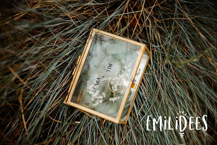 Clara _ Tim_Alliances 1