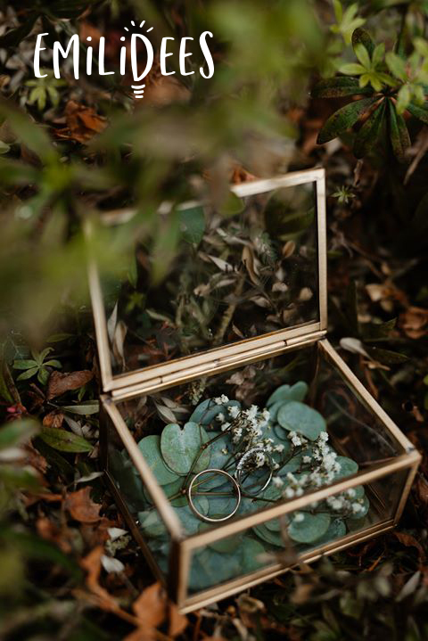 Clara _ Tim_Alliances 2